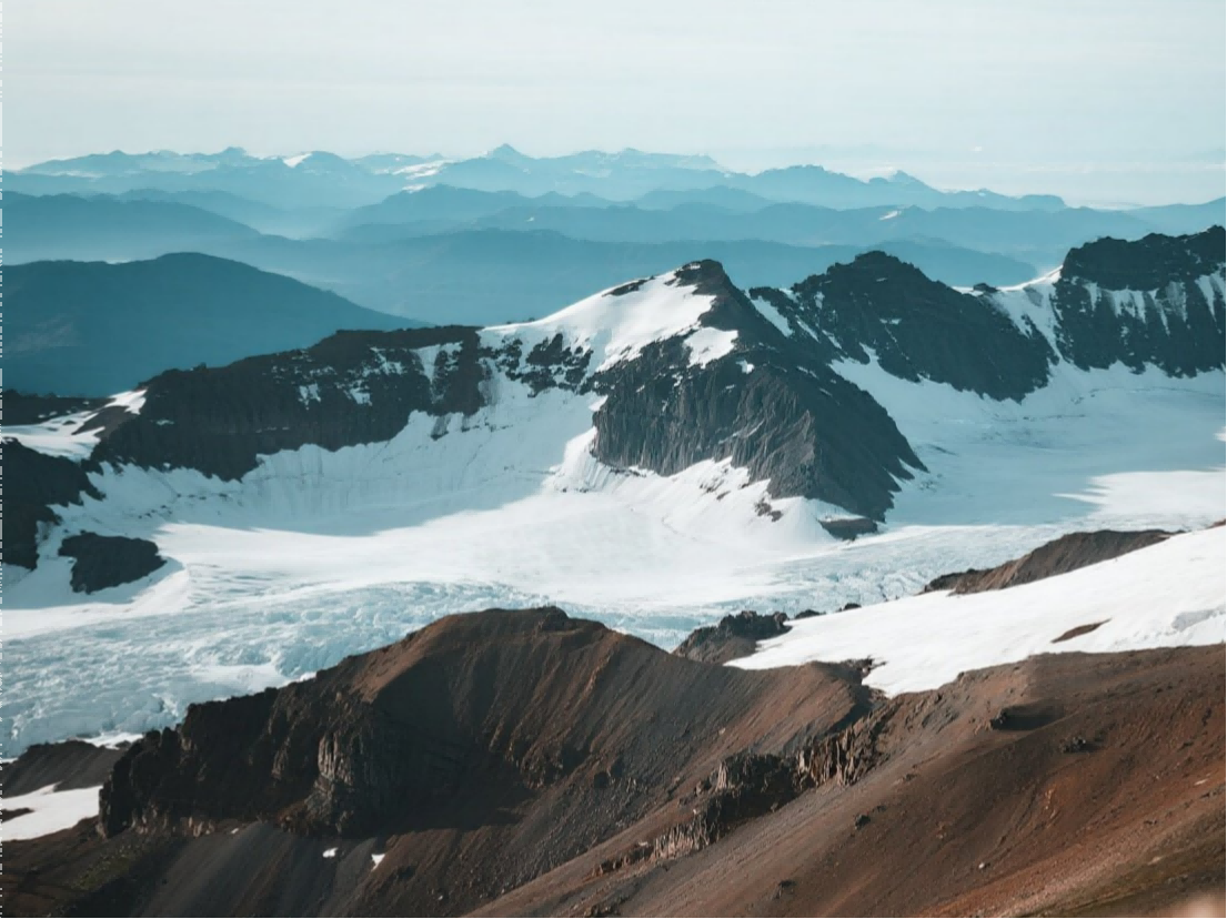 人参的身世之谜-02