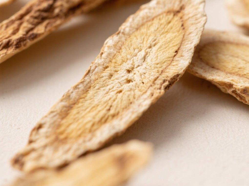 健康科普-黄芪-04